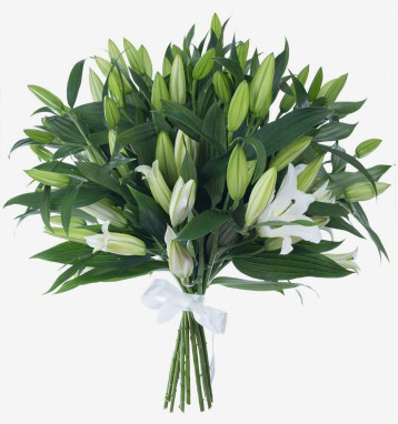 Bouquet of 17 Lilies