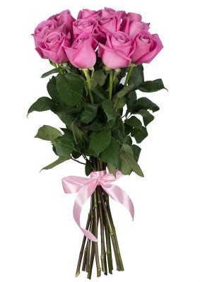 Pink Roses Premium Image